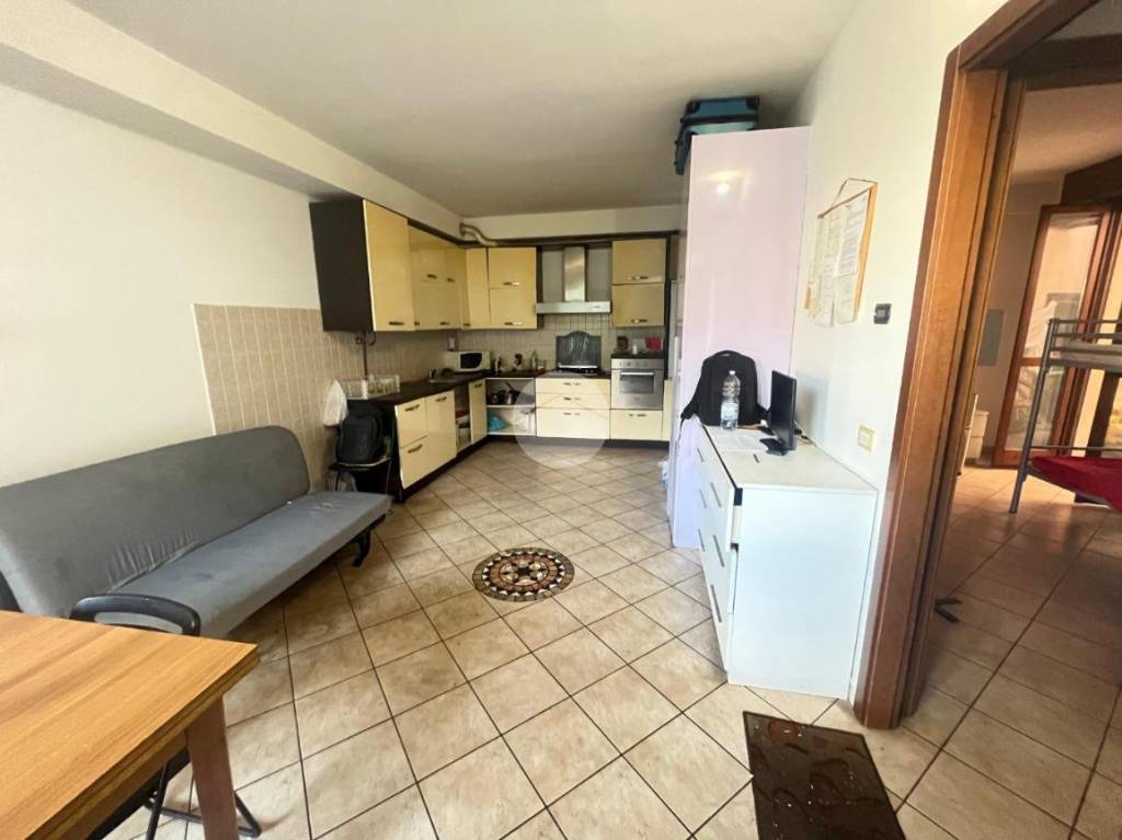 immagine annuncio 5 di 14