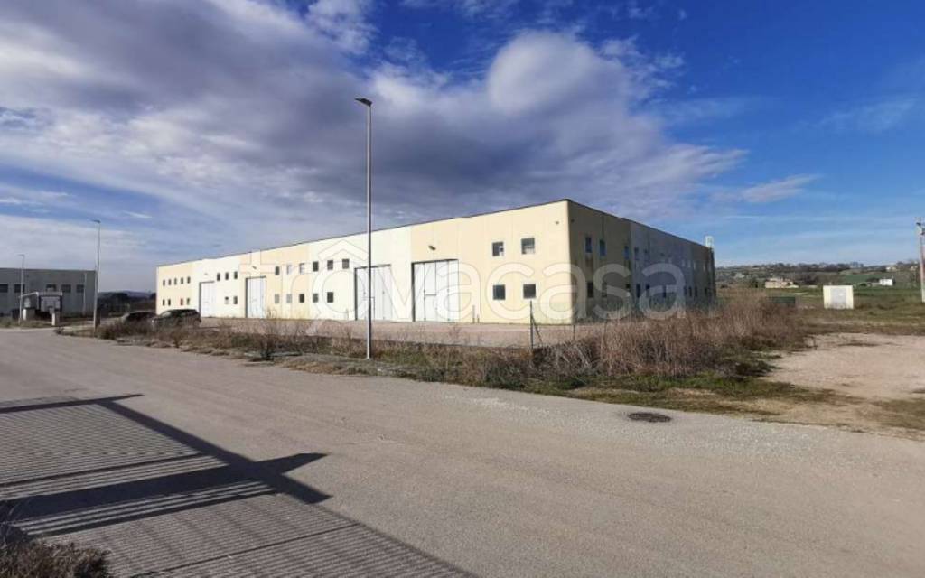 immagine annuncio 2 di 11