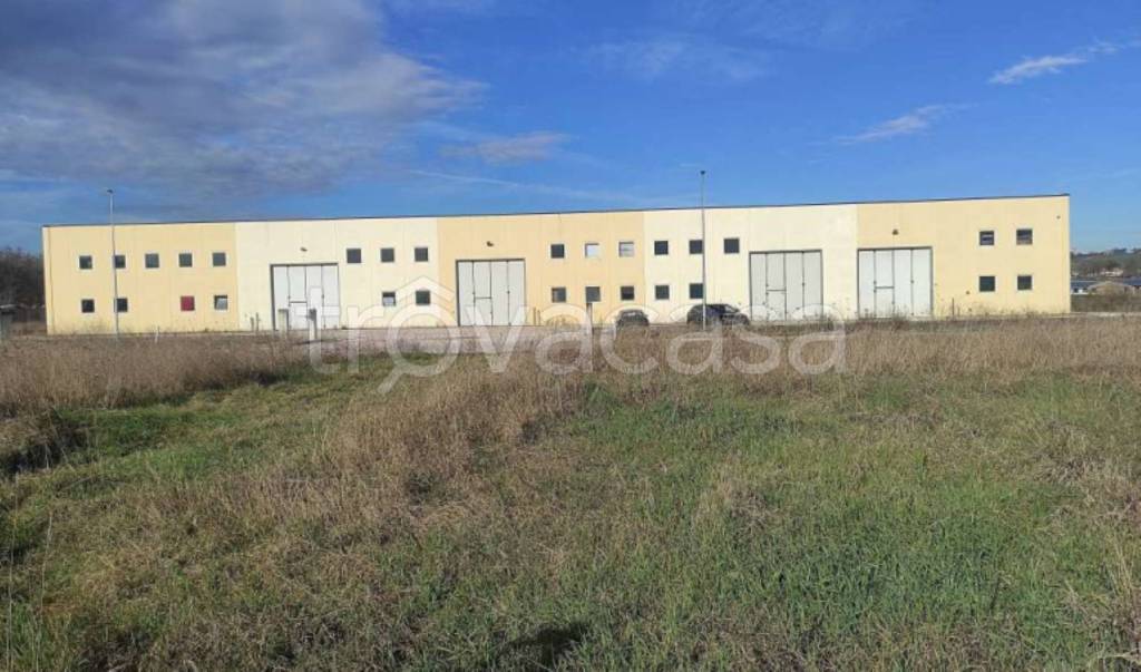 immagine annuncio 3 di 11