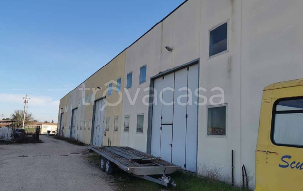 immagine annuncio 5 di 11