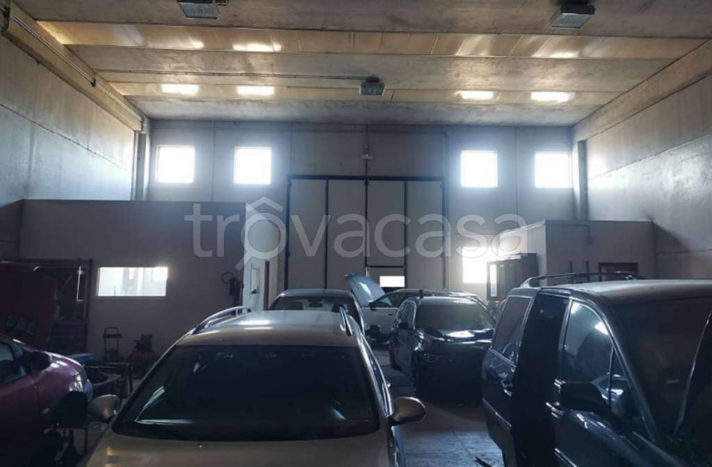 immagine annuncio 8 di 11