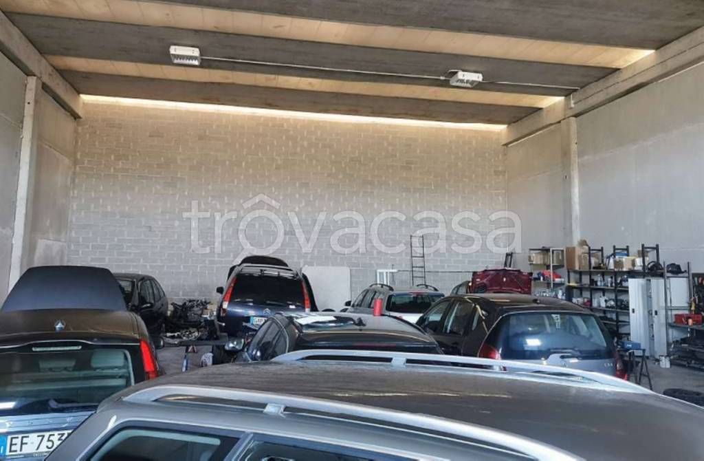 immagine annuncio 9 di 11