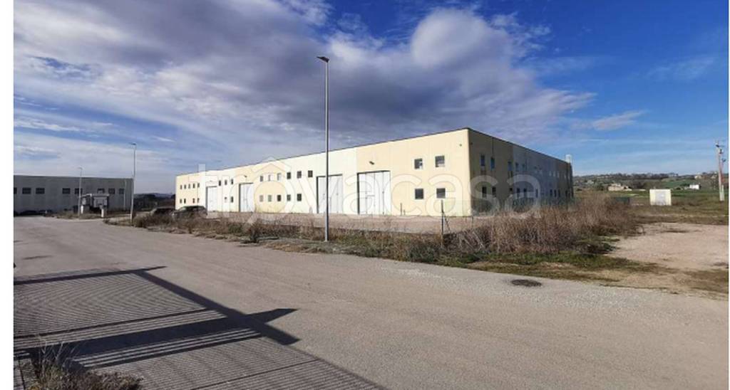 immagine annuncio 2 di 12