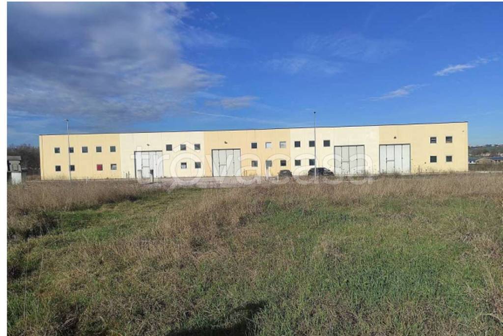 immagine annuncio 3 di 12