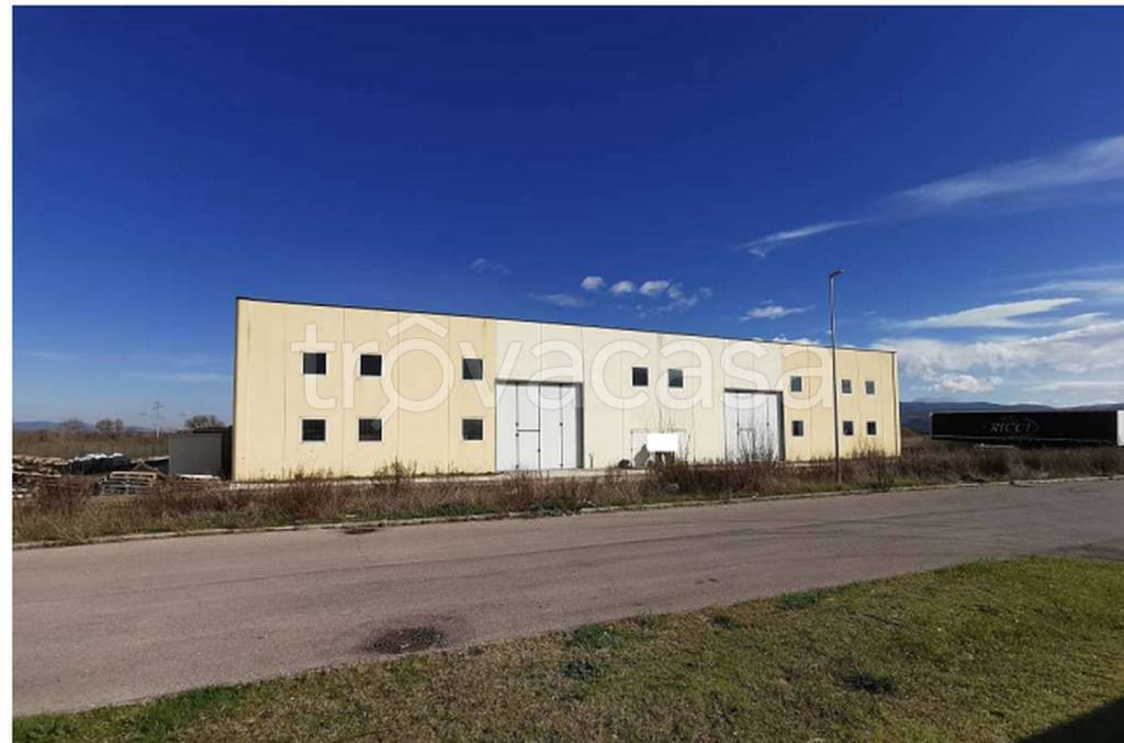 immagine annuncio 4 di 12