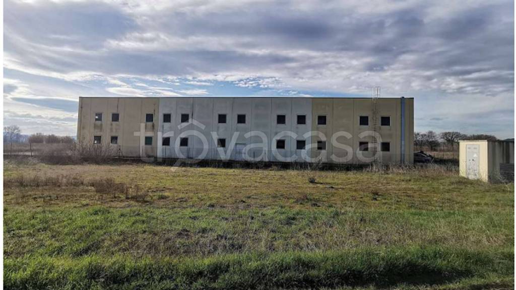 immagine annuncio 7 di 12