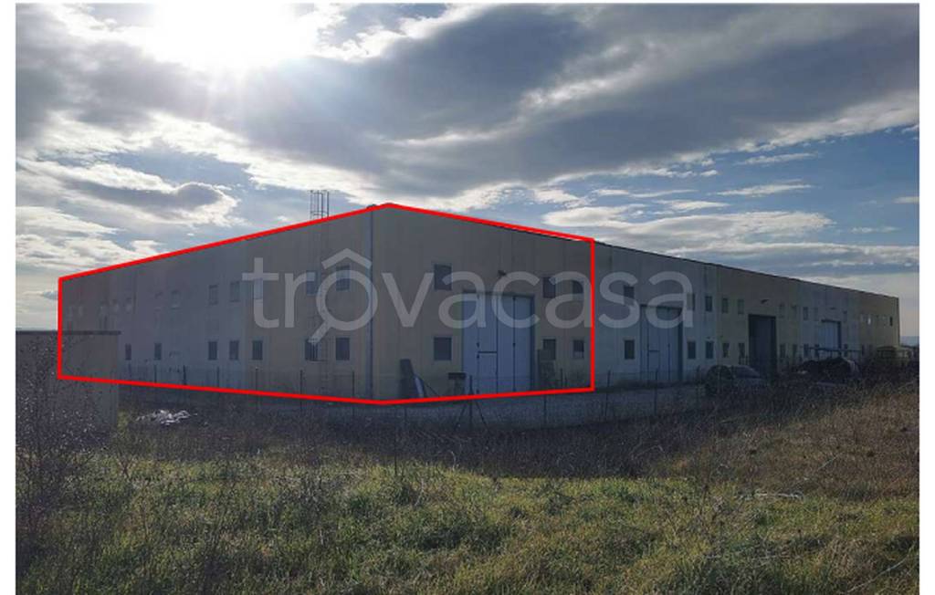 immagine annuncio 8 di 12