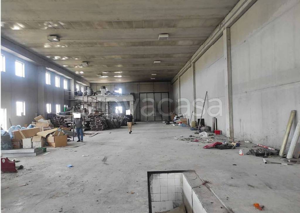 immagine annuncio 9 di 12