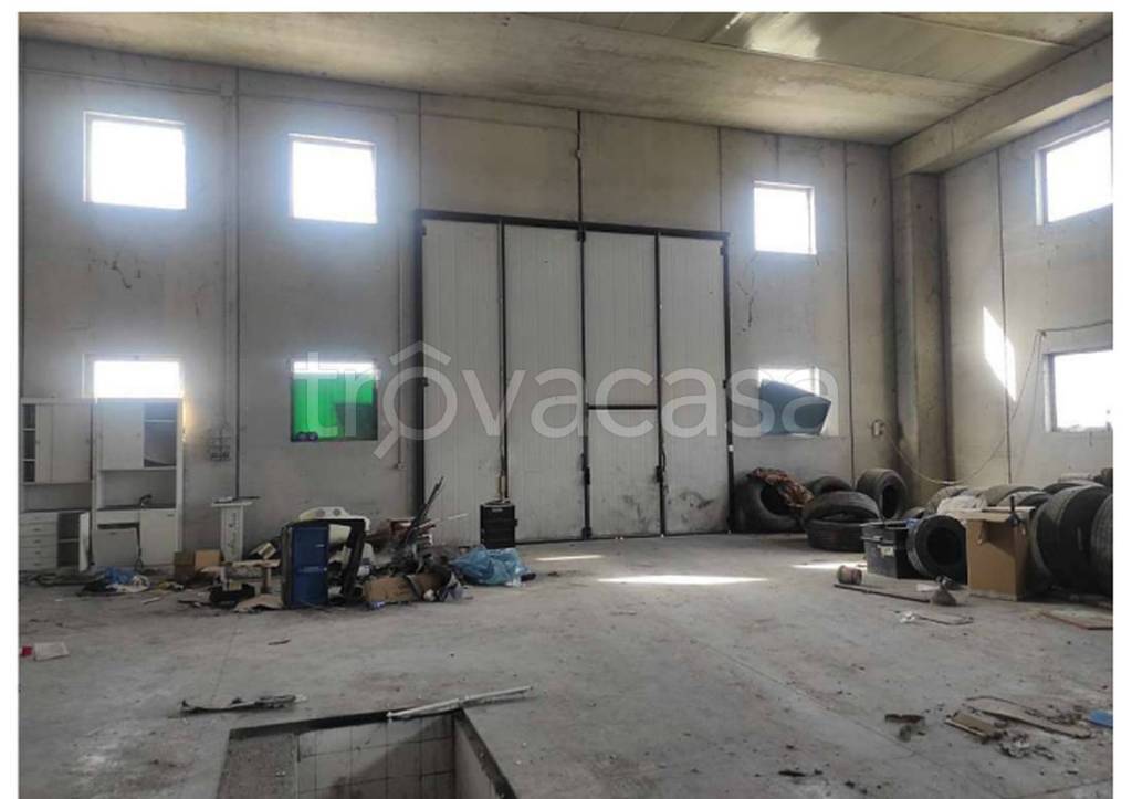 immagine annuncio 10 di 12