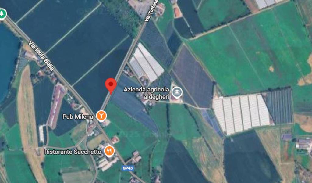 immagine annuncio 5 di 11