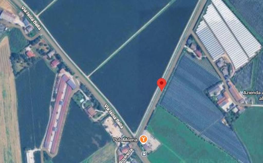 immagine annuncio 6 di 11