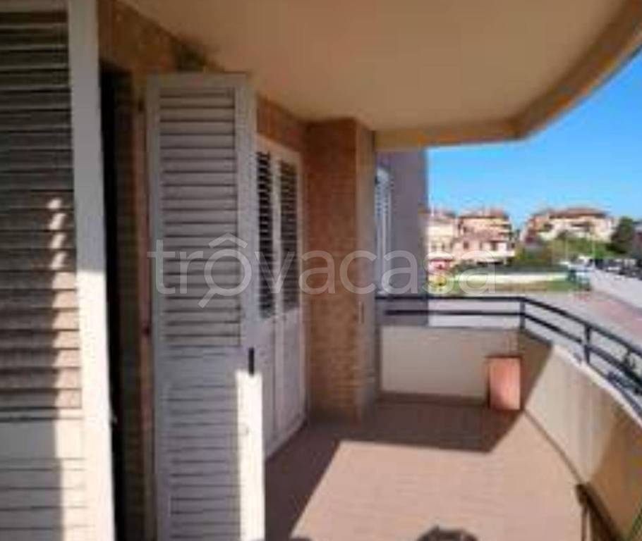 immagine annuncio 5 di 12