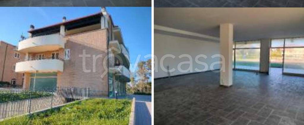 immagine annuncio 11 di 12