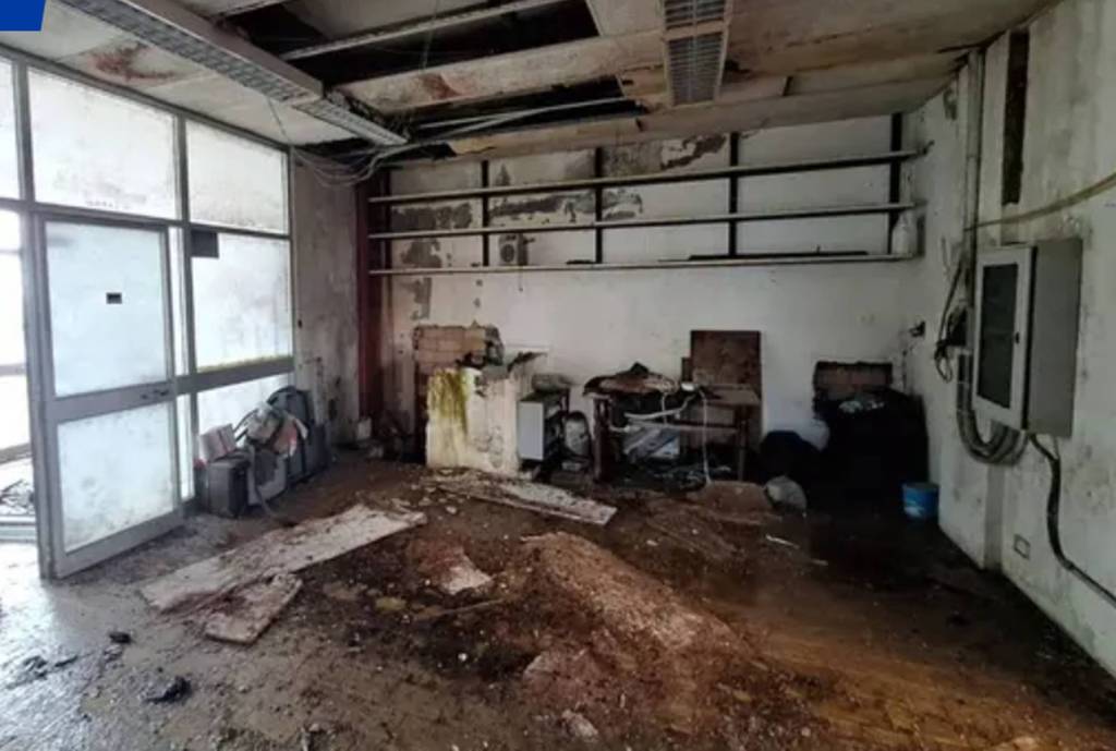 immagine annuncio 1 di 12