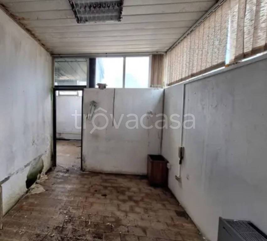 immagine annuncio 7 di 12