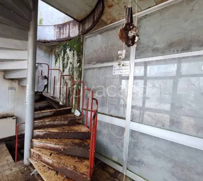 immagine annuncio 8 di 12