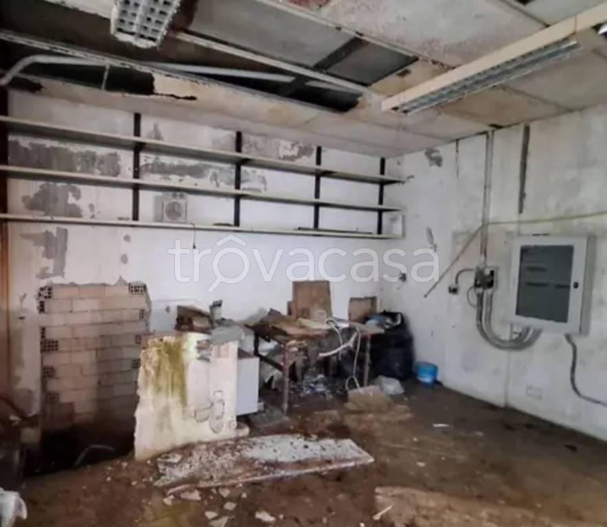 immagine annuncio 9 di 12