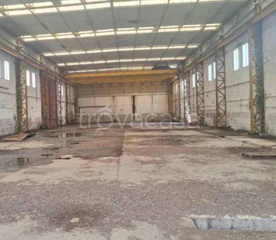 immagine annuncio 11 di 12