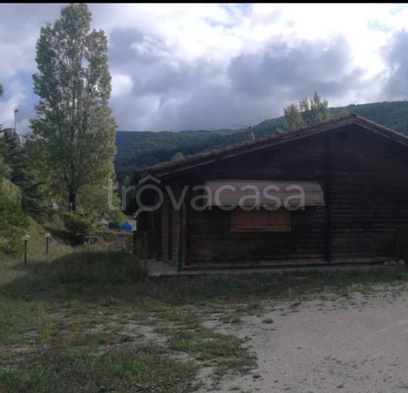 immagine annuncio 4 di 14