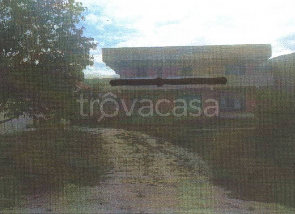 immagine annuncio 8 di 14