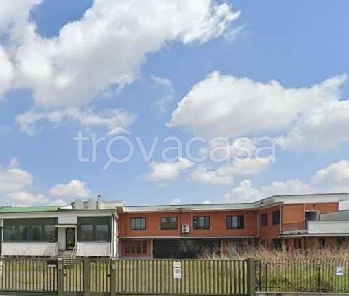 immagine annuncio 3 di 13