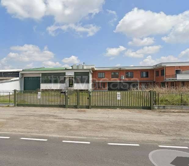 immagine annuncio 4 di 13