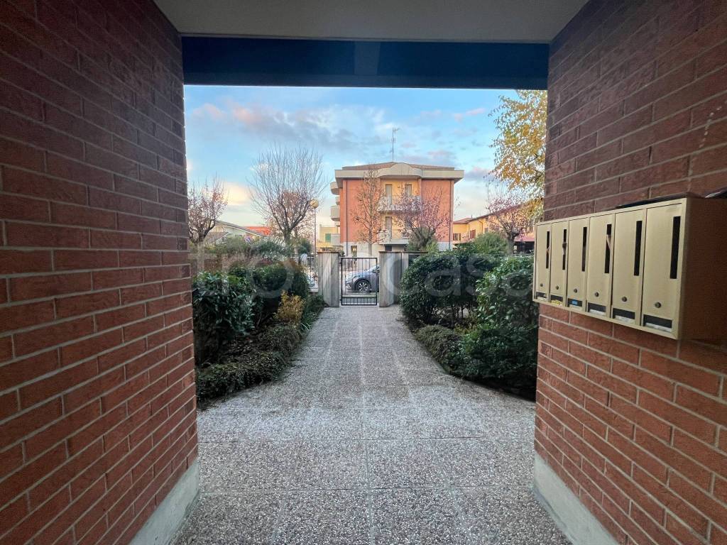 immagine annuncio 10 di 14