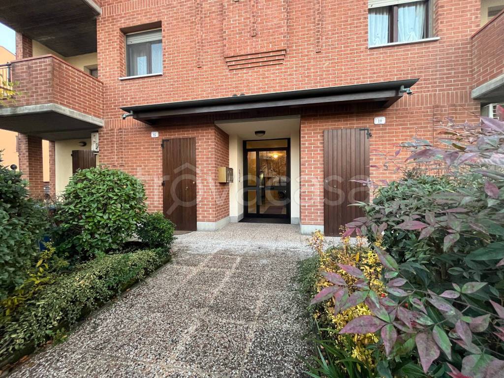 immagine annuncio 11 di 14