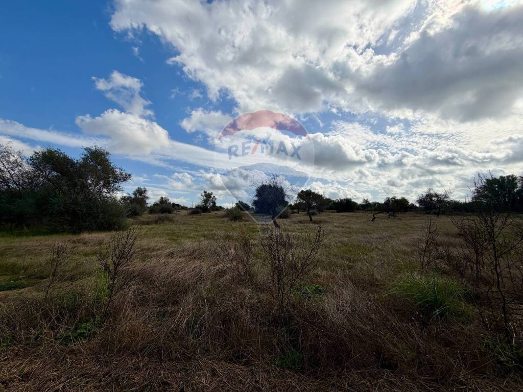 immagine annuncio 7 di 13