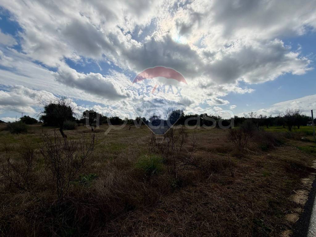 immagine annuncio 8 di 13