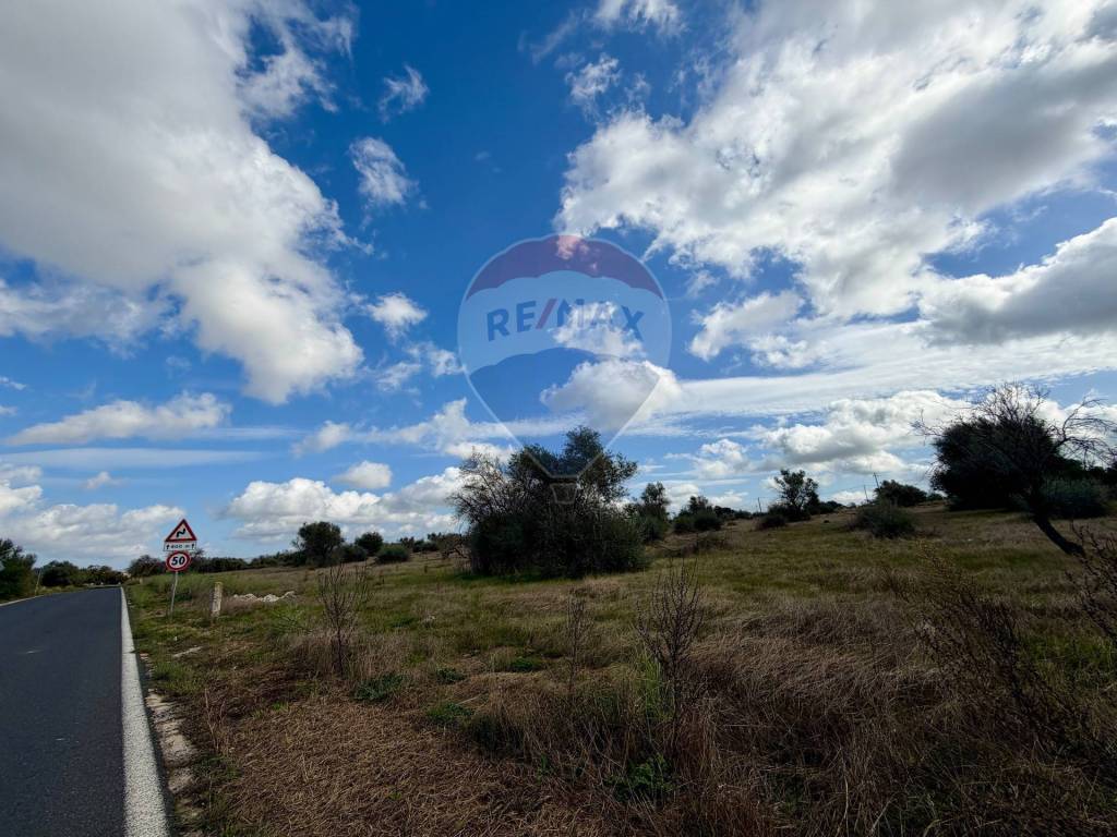 immagine annuncio 9 di 13