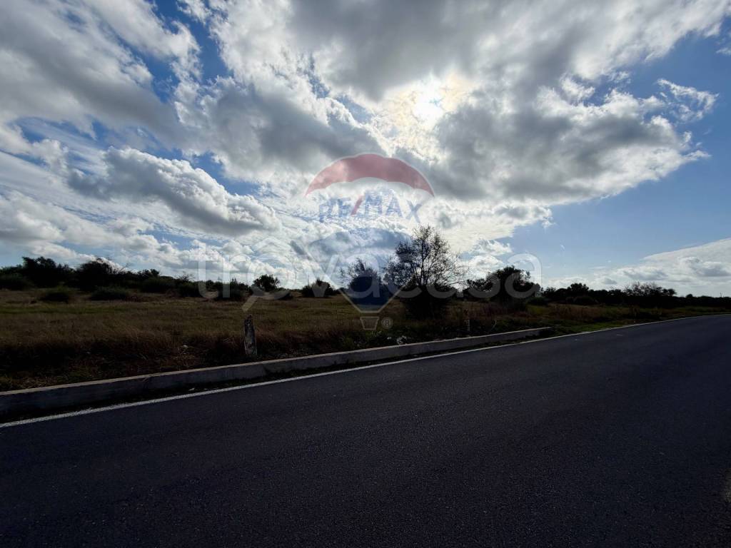 immagine annuncio 10 di 13