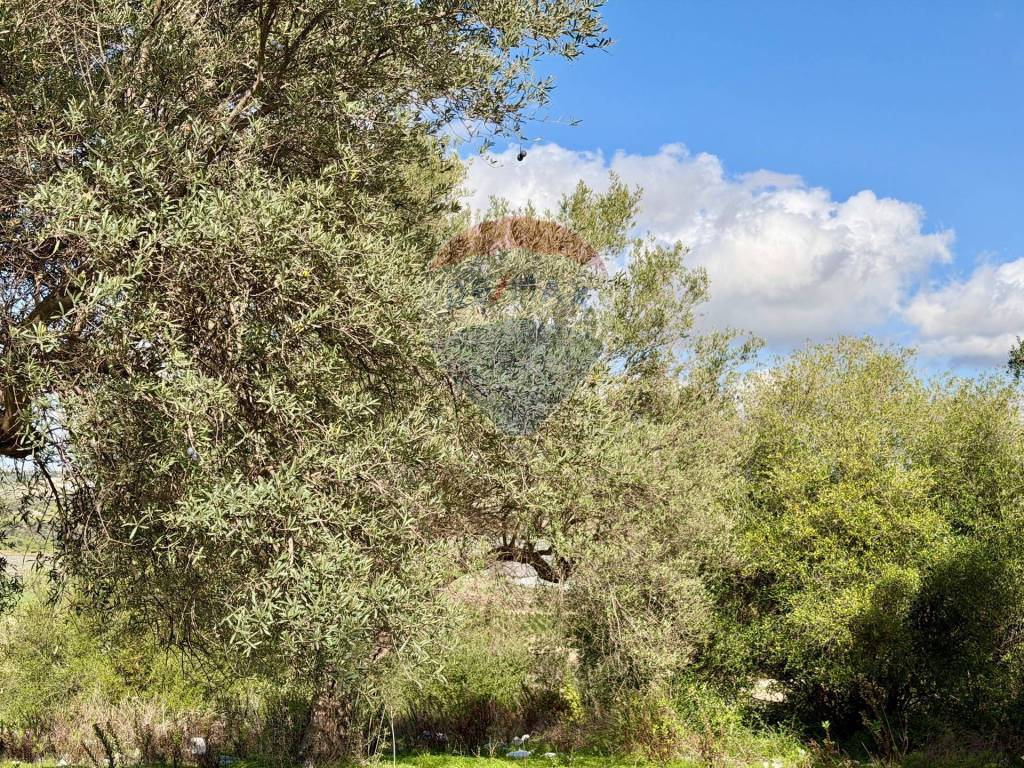 immagine annuncio 8 di 14