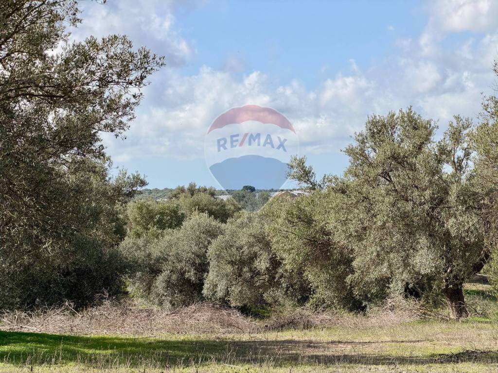 immagine annuncio 9 di 14