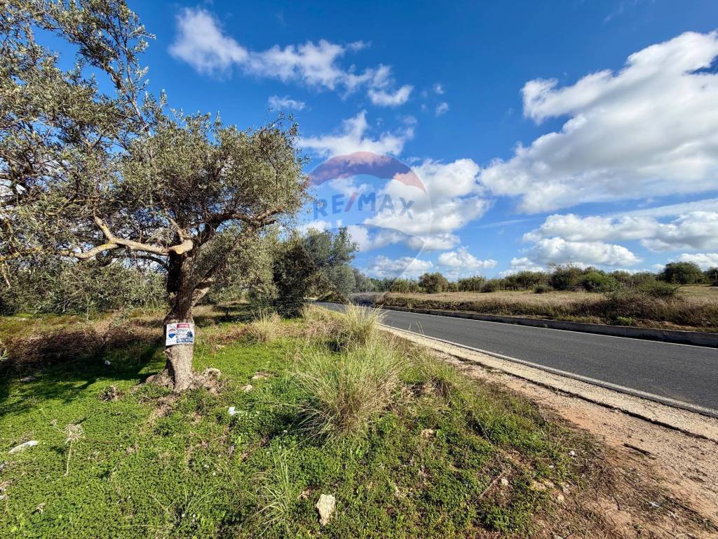 immagine annuncio 10 di 14