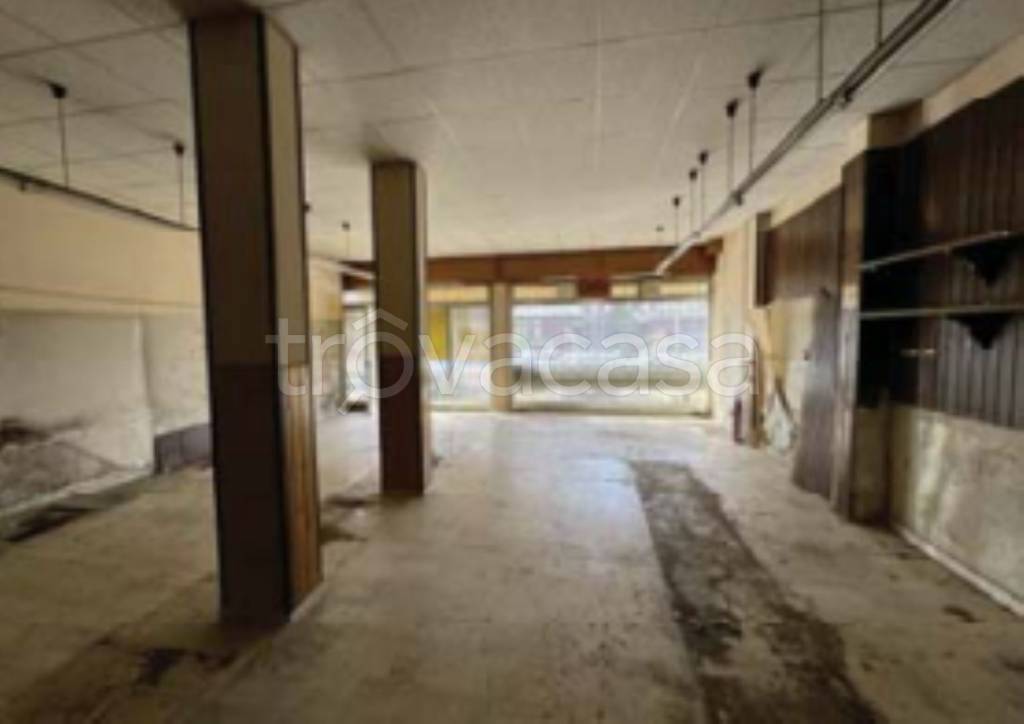 immagine annuncio 12 di 14