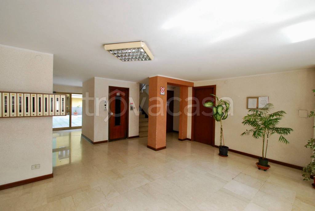 immagine annuncio 2 di 8