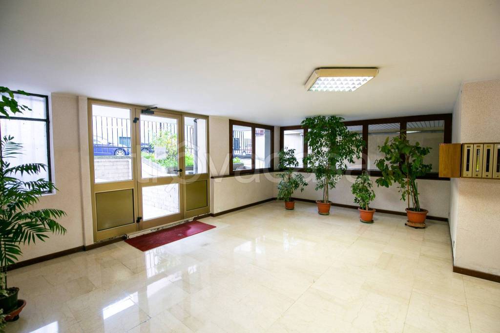 immagine annuncio 6 di 8