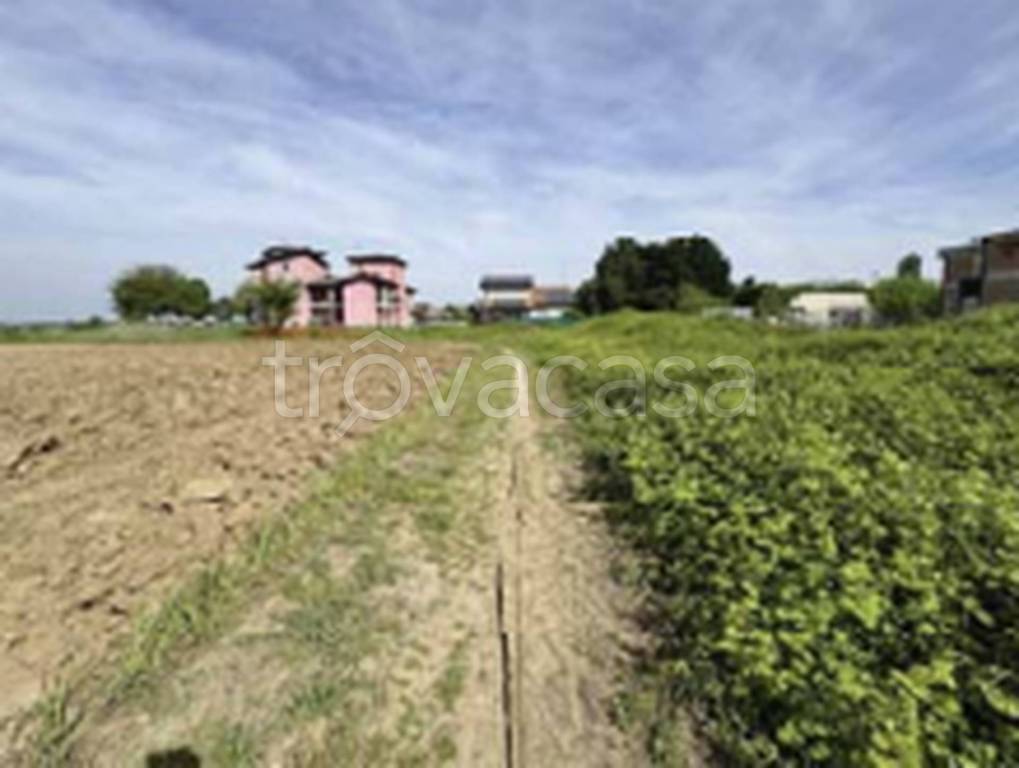 immagine annuncio 4 di 11