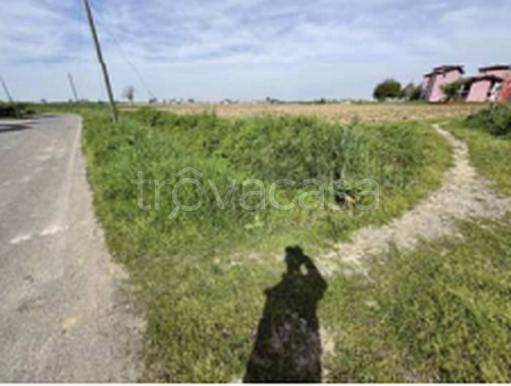 immagine annuncio 7 di 11