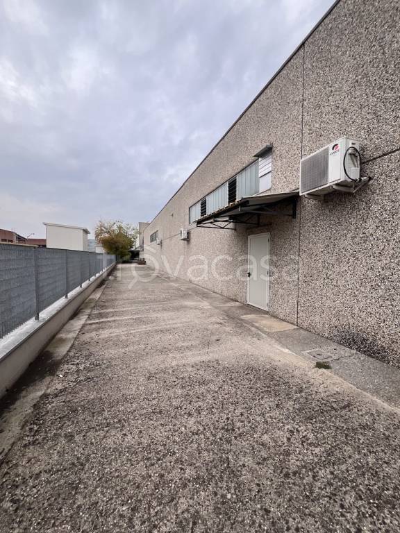 immagine annuncio 1 di 14