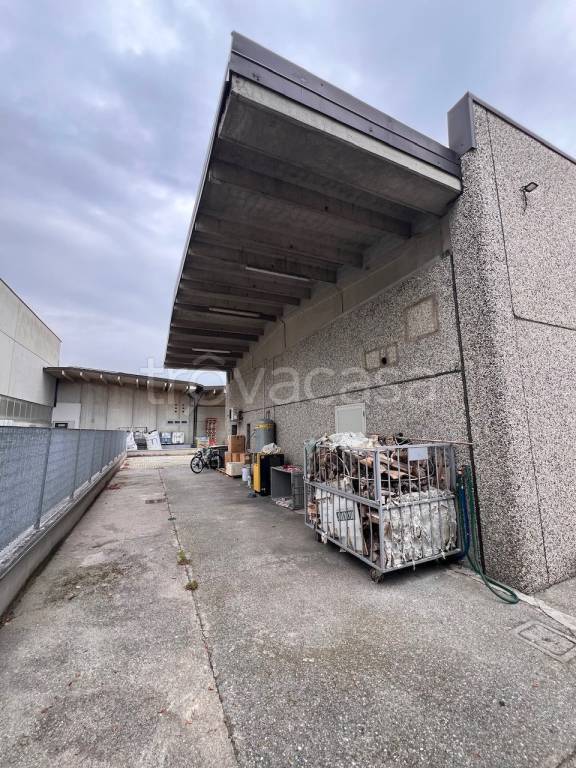 immagine annuncio 2 di 14