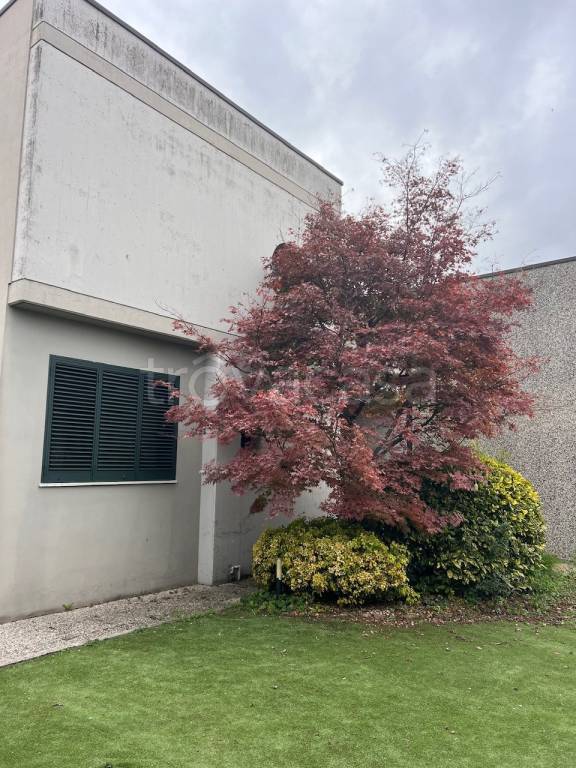 immagine annuncio 3 di 14