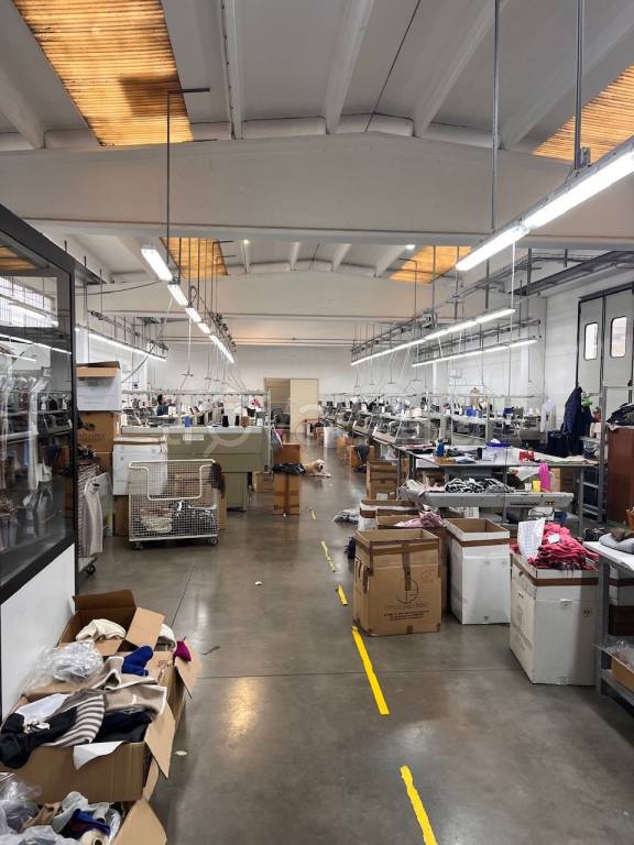 immagine annuncio 5 di 14