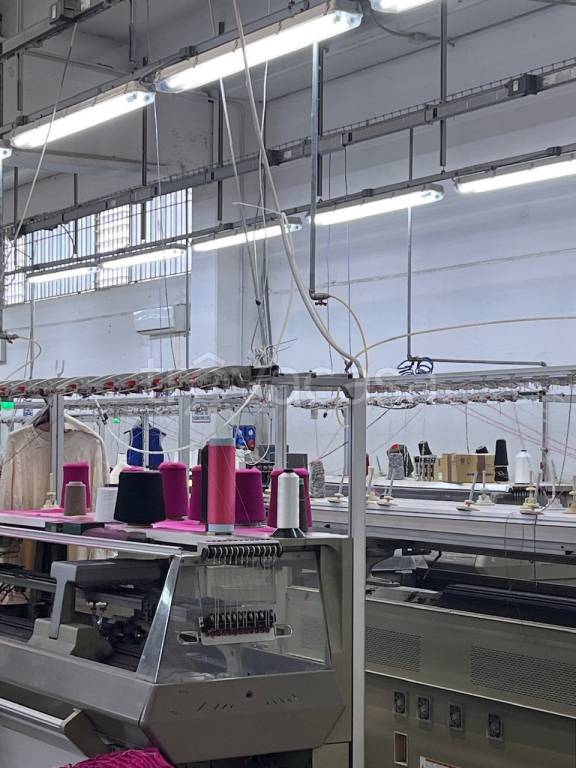 immagine annuncio 6 di 14