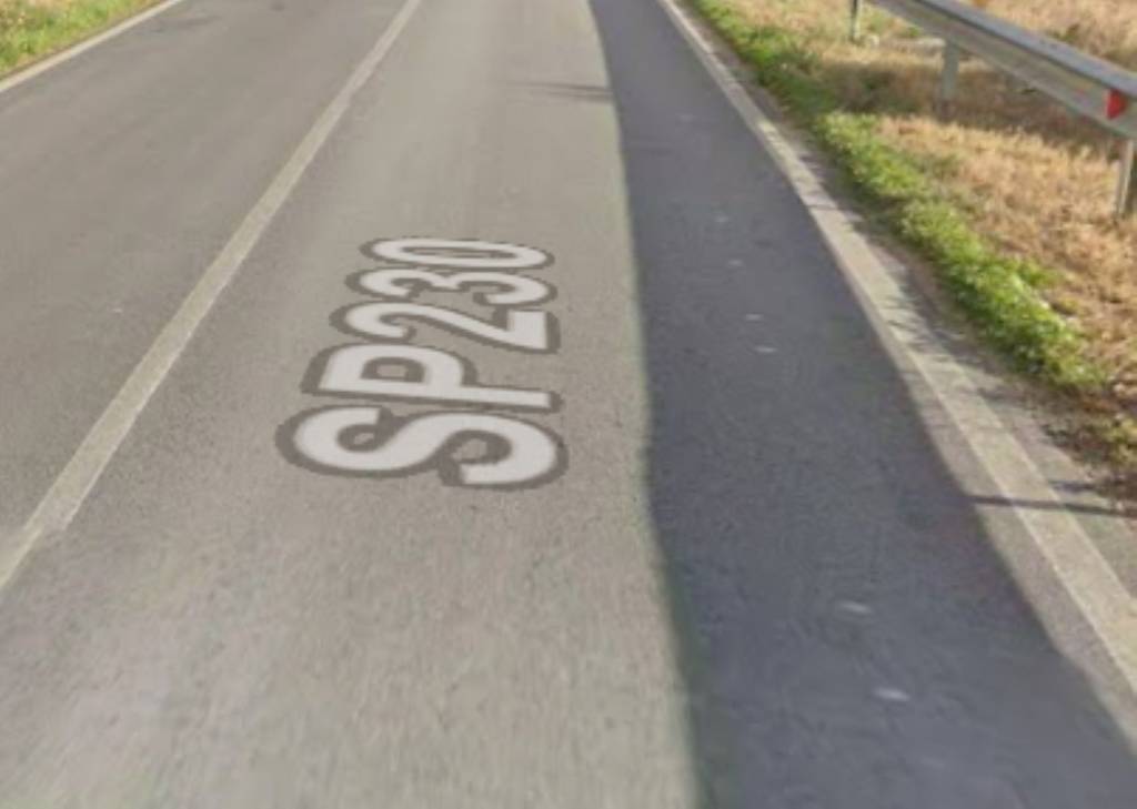 immagine annuncio 3 di 12