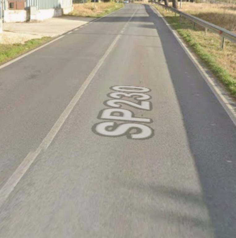 immagine annuncio 4 di 12