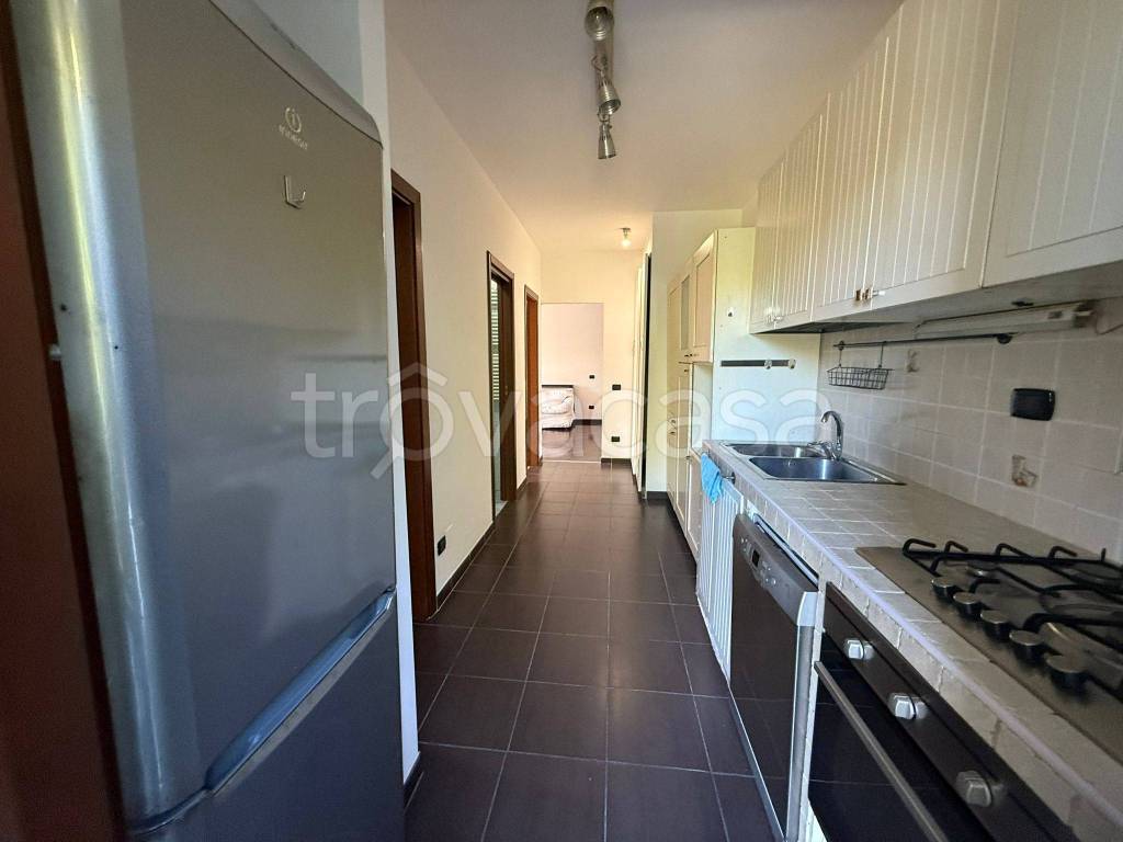 immagine annuncio 4 di 14