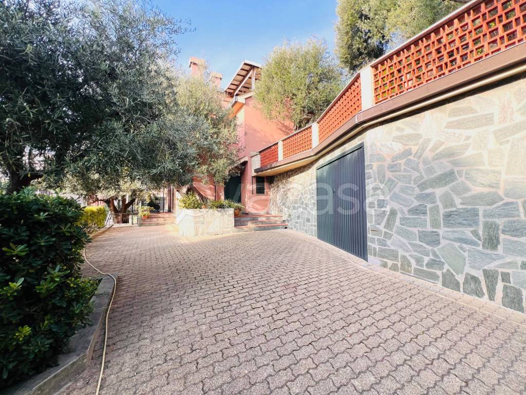 immagine annuncio 7 di 15