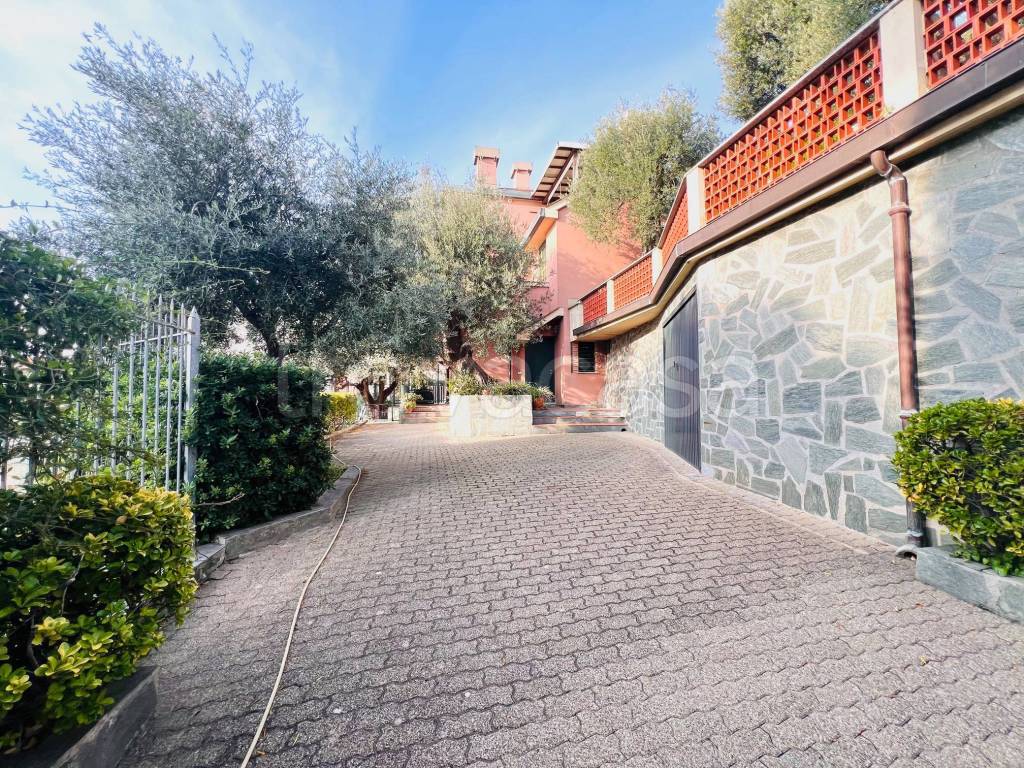 immagine annuncio 8 di 15